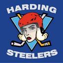 Harding Steelers Berlin